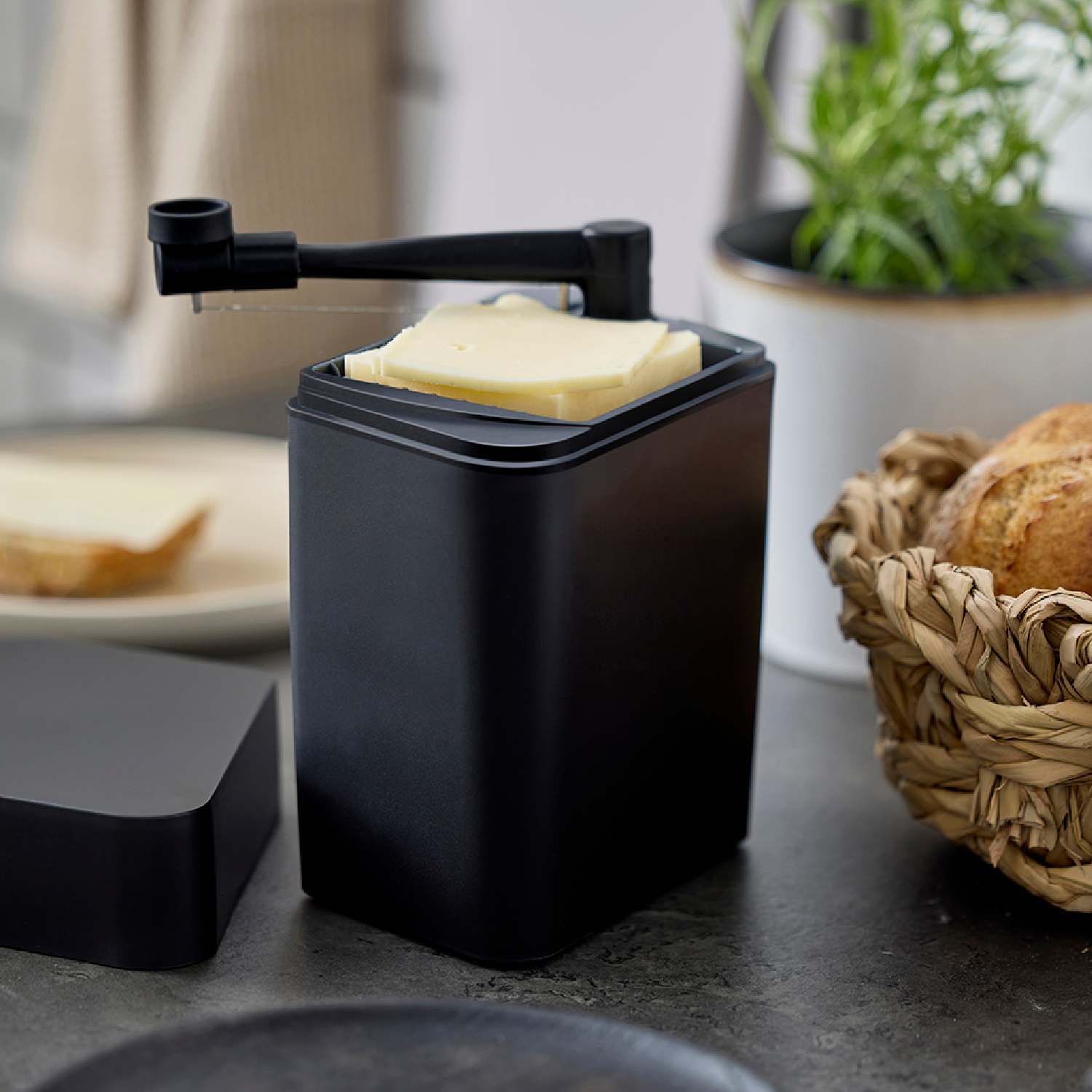 Dezute suriui rosti juoda interjere Sūrio dėžutė su pjaustykle Rosti juoda, interjere